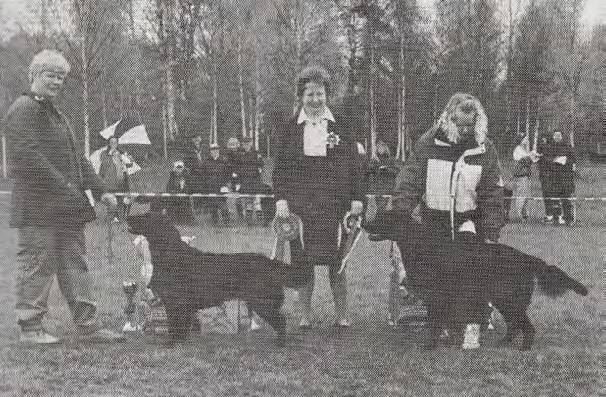 NÄYTTELY NÄYTTELY kuvat (c) Satu Saarinen Erikoisnäyttelyssä tuomarit ovat aina rodun alkuperämaasta Englannista. Säästä huolimatta rouvat ovat uskollisia tyylilleen. Flattikerhon Erikoisnäyttely 20.