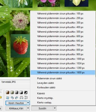 Kuvan pienentäminen helposti Kuvakoon muutoksen teet napsauttamalla Valikot välilehdellä Koon muutos pikku kolmiota. Kuvan kokoa EI voi suurentaa, kun se on kerran pienennetty.