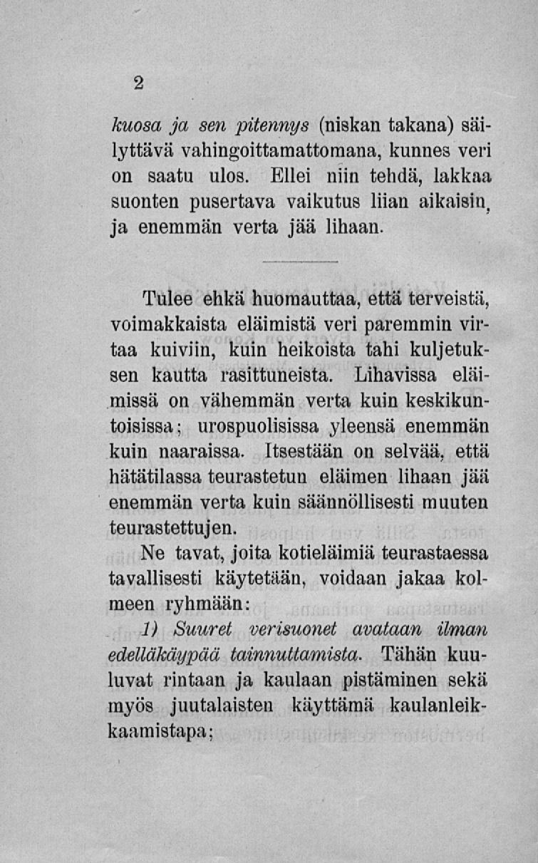 Kuosa ja sen pitennys (niskan takana) säilyttävä vahingoittamattomana, kunnes veri on saatu ulos. Ellei niin tehdä, lakkaa suonten pusertava vaikutus liian aikaisin, ja enemmän verta jää lihaan.