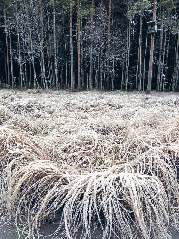 Pöytyän kunnan tiedotuslehti nro 1/2017 KUNTAVAALIT...s. 3 Uusi ja vanha KUNNANJOHTAJA... s.