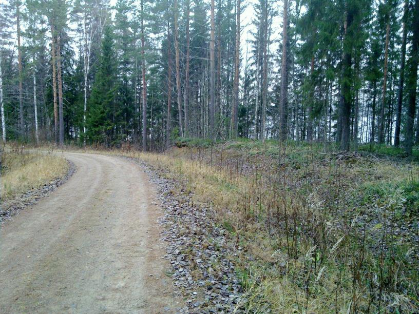 7 teen missä törmän päällä oleva tasanne levenee mutta en havainnut esihistoriaan viittaavaa.