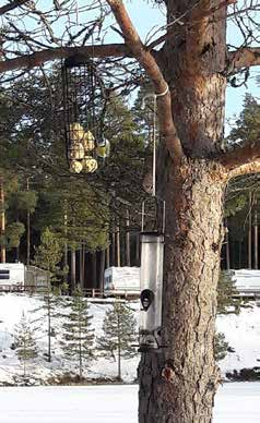 tus vuodelle 2017 muodostuu seuraavista jäsenistä: Tauno Raitaluoma (pj), Päivi Huhtala, Timo Juuti, Lauri Nieminen, Timo Rantanen, Briitta Santalahti, Elina Tukkiniemi (siht), Jari Valkeapää ja Olli