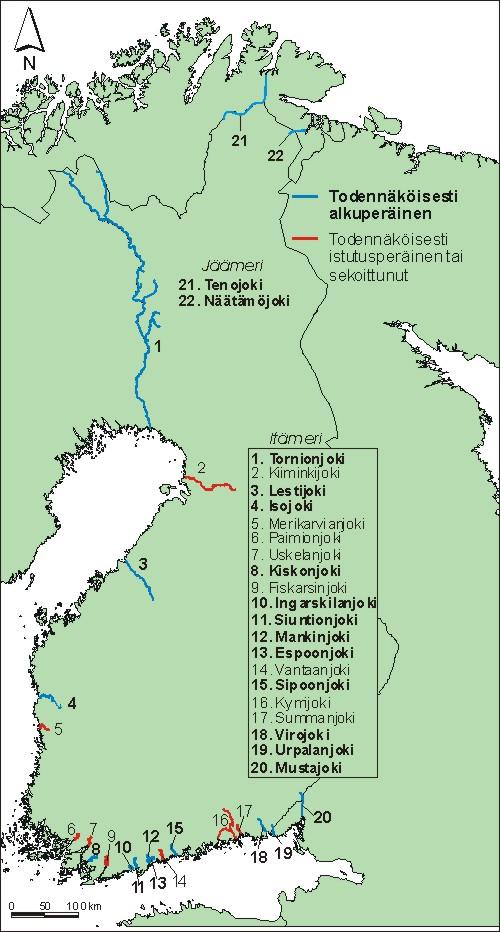 Suomen meritaimenjoet Jäljellä enää 22 joessa, joista 19 Oulun eteläpuolella Näistä luonnonkantaa ainoastaan 11 -Pohjanlahdella 4