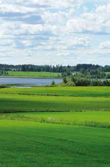 4 Olemme kotimainen, pohjalaisten omistama kauppa Eepee Agri Oy on perustamisestaan lähtien panostanut laadukkaisiin tuotteisiin, vahvaan ammattitaitoon, nopeaan toimitukseen ja ennen kaikkea aitoon