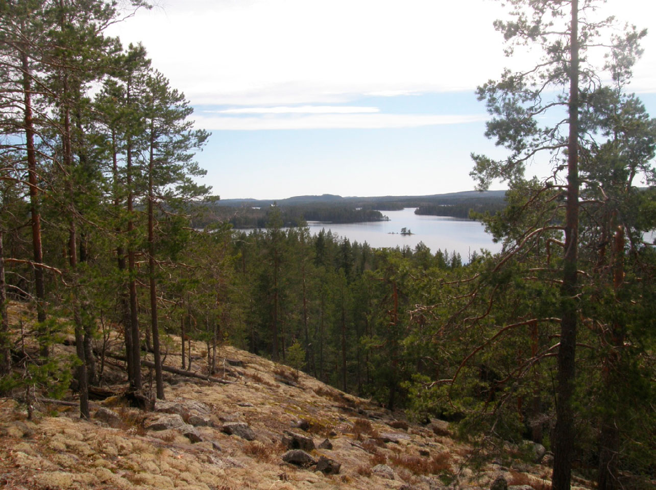 Etelä-Konneveden kansallispuiston hoito- ja