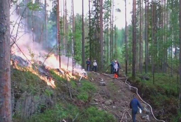 Palokäytävä tehtävä, puusto hakattu Ristiina 2011 Palokäytävän leveys ei enempää kuin kaivinkone ja ajokone tarvitsevat Rajaus rinteen alla 20-30 keh.