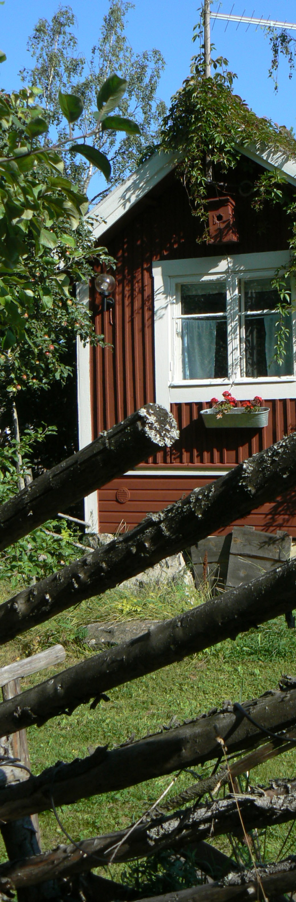 jolloin kunnan tiedot ja organisaatio on päivitetty ajan tasalle. SosKesin uutta sisältöä SosKesin sisältö on laajentunut ja täydentynyt runsaasti talven ja kevään aikana.