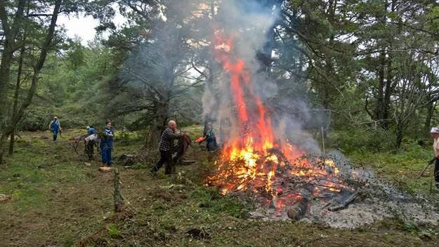 Selkämeren luonto- ja kulttuuriaarteet ehostuivat talkoovoimin Selkämeren kesä kului reippaasti huhkien!