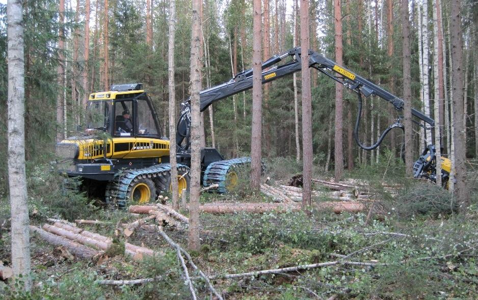 Hakkuukone metsätiedon lähteenä Tapio Räsänen Metsäteho Oy