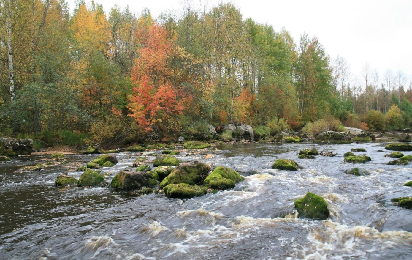 SIIKALATVA PULKKILAN KIRKONKYLÄN YLEISKAAVA 25 3.1.