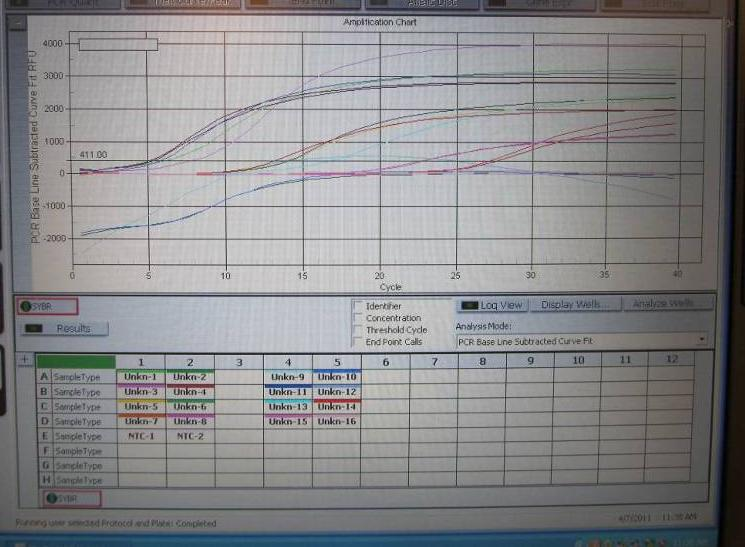 6.4 Alukeyhdistelmien testauksen tulokset Aiempien testiemme perusteella alukkeita riittää 1 µl/reaktio (100 pmol), joten käytimme sitä molemmissa alukeyhdistelmissä.