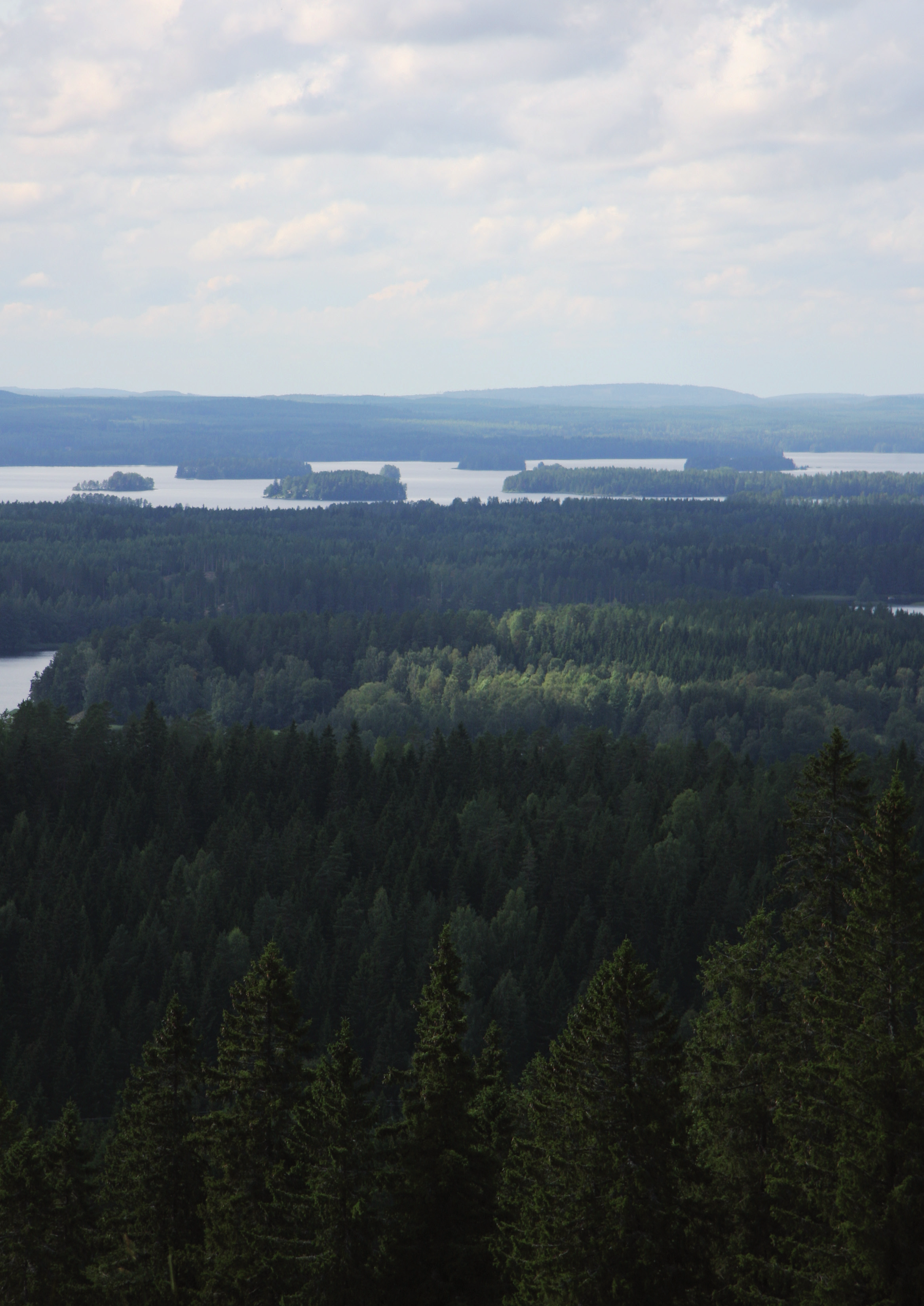 KUVA: Niina Lautiainen Yhteistyötä energiatekniikassa Hajautetut energiaratkaisut -painoalan toiminta käynnistyi hyvin vuonna 2010.