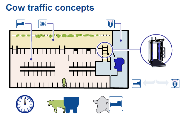 VMS Milk First Eläinliikenteen suunta kuvassa: Vastapäivään Lehmä menee: Makuuparsista älyportille Älyportti ohjaa lypsyluvan perusteella joko: VMS:lle lypsylle ruokintapöydälle Sopii hyvin