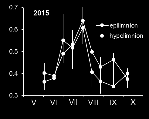 Vuonna 2015 vesikirppujen yksilökoko kasvoi kesä-heinäkuun mittaan, kun lepomunista kuoriutuneet yksilöt aikuistuivat ja kun alkukesän pienet Bosmina-vesikirput vähenivät ja suuremmat Daphnia- ja