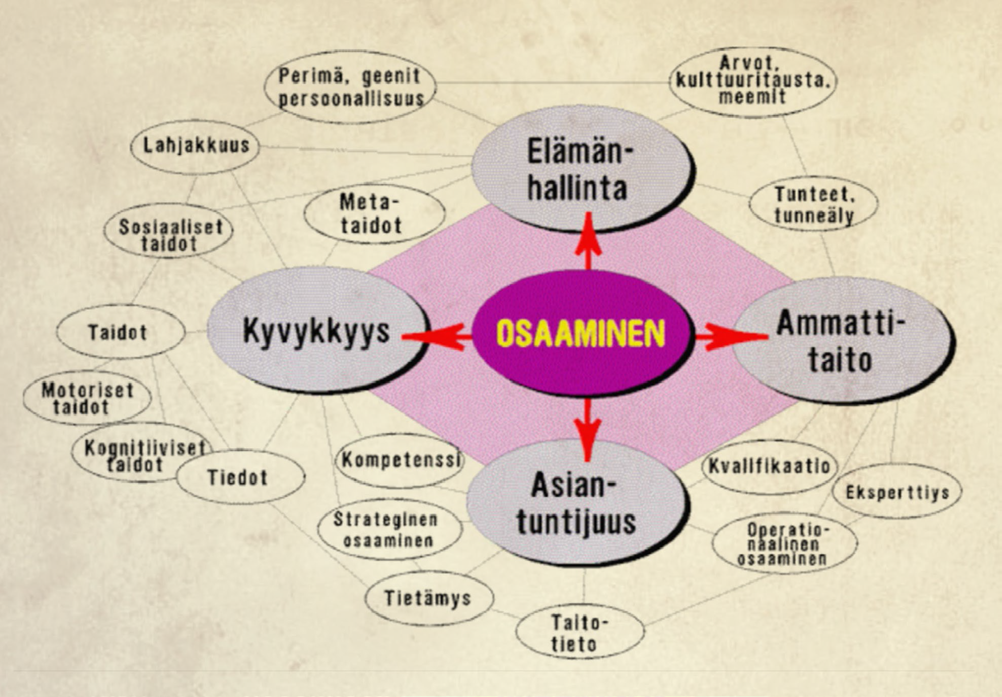 Kuvio 4. Osaamisen ja ammattitaidon käsitteistöä ja yhteyksiä (Helakorpi 2004, s. 1).