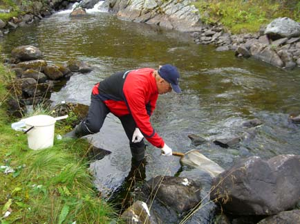 Anion determinations as well as total nitrogen and carbon determinations were made from another 500 ml sample. a b Fig. 13.