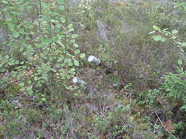 Geologian tutkimuskeskus 7 West and southwest of the Unimonttu site there are five diamond drilling collars of GTK (drill holes 321 and 324-327) still visible at the surface of the valley fill sand