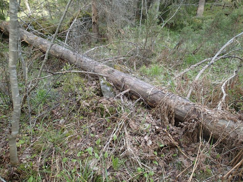 Vuoden 1953 peruskartan mukaan paikka on pitäjänrajan ja kylänrajan risteämiskohdassa. Pystykiven suunta osoittaa kylänrajan suuntaa, joten merkki liittynee alun perin siihen.