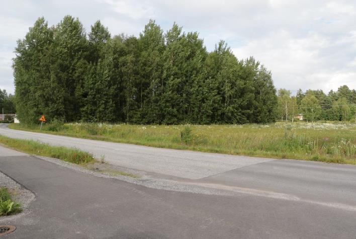 S i v u 5 Kuva 3. Näkymä kaava-alueen länsiosasta. 3.1.2 Luonnonympäristö Koska alue on suurimmaksi osaksi viljelysmaata, kaava-alueella ei ole suuria luonnontilaisia alueita.
