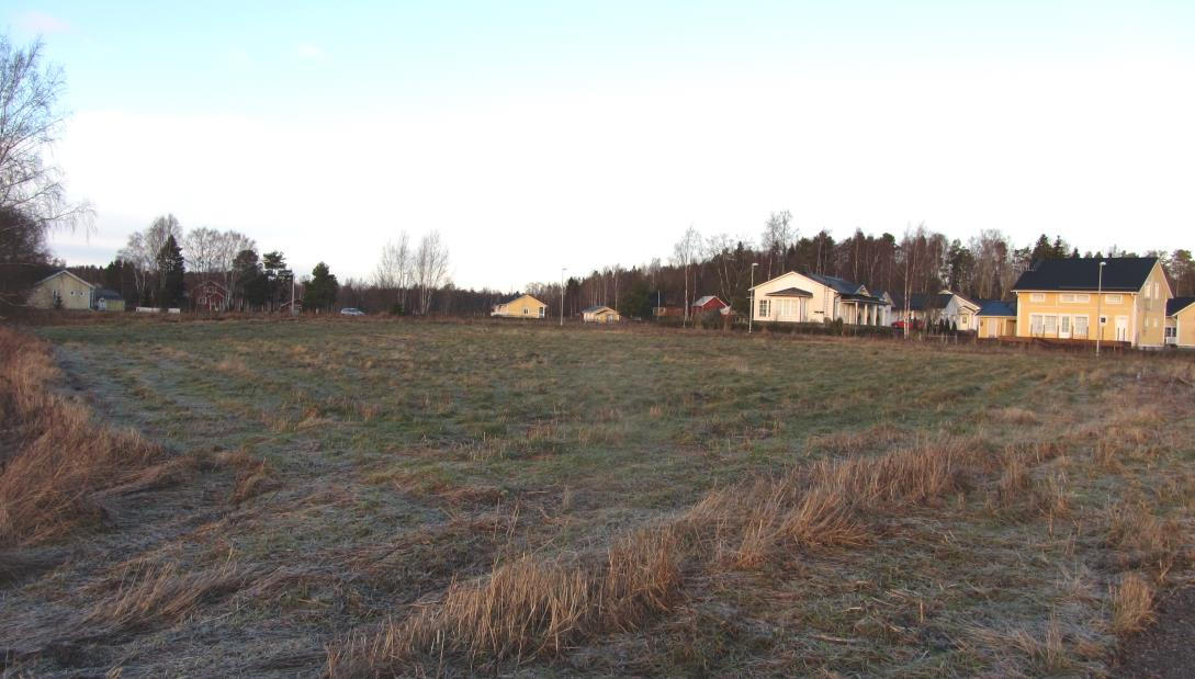 Alueella tehtiin luontoinventointi keväällä/kesällä 2016.