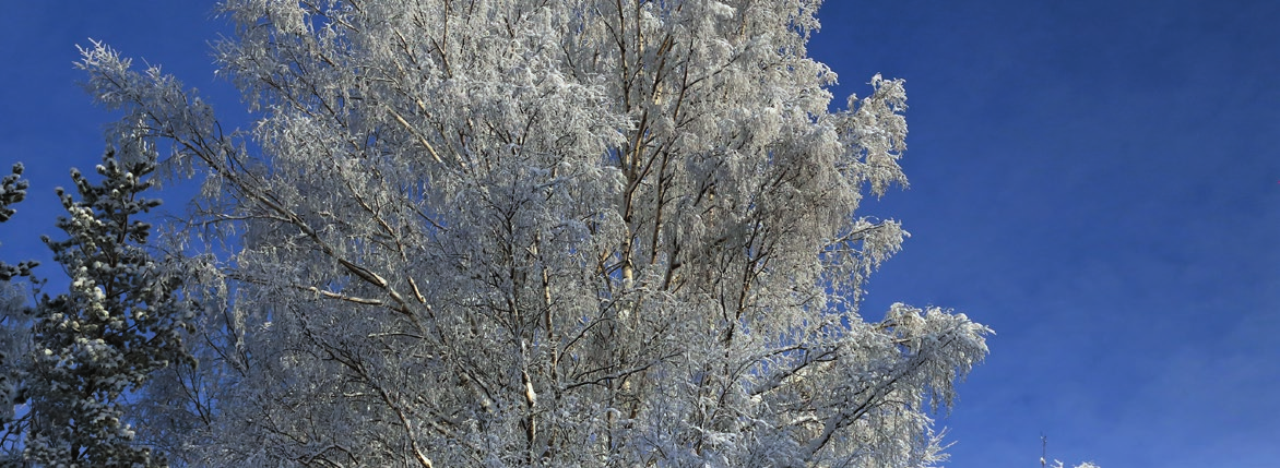 Palautusosoite: Oron ystävät ry. Jouko Tykkyläinen Suntionkatu 5 59100 PARIKKALA Naisten armonpäivät 3.