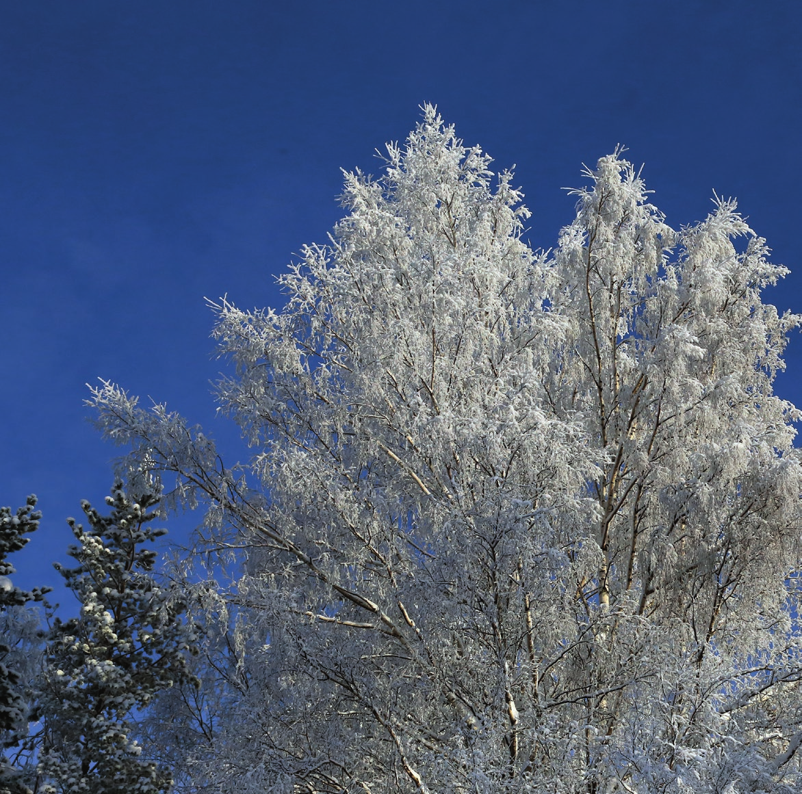 Suomen talvi voi olla kylmä ja arvaamaton. Siitä muistutus saatiin, kun tammikuun alussa Oron päärakennuksen jäätynyt vesiputki halkesi ja aiheutti tulvan ja korjaustarpeen.