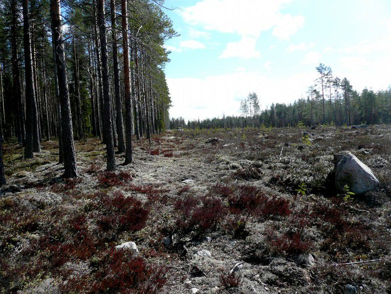 itään. Kuva.