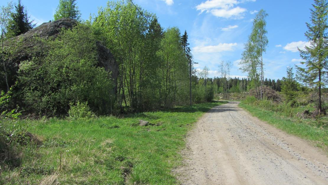 Viereisen kaava-alueen rakennuskanta on rakennettu 1980-luvulla ja sen jälkeen, kun taas muualla alueen lähiympäristössä on hyvin