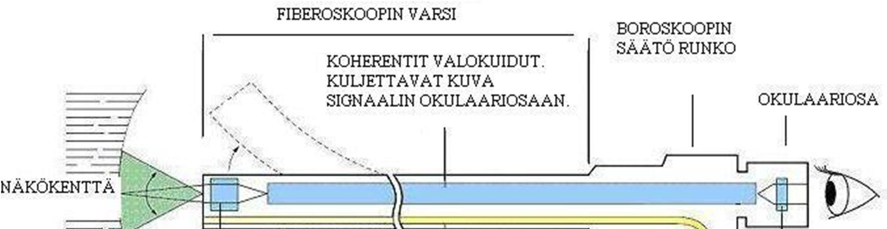 12 Fiberoskoopit muodostuvat kolmesta merkittävästä komponentista: objektiivista, optisesta valokuidusta ja okulaarista (ks. kuvio 9).