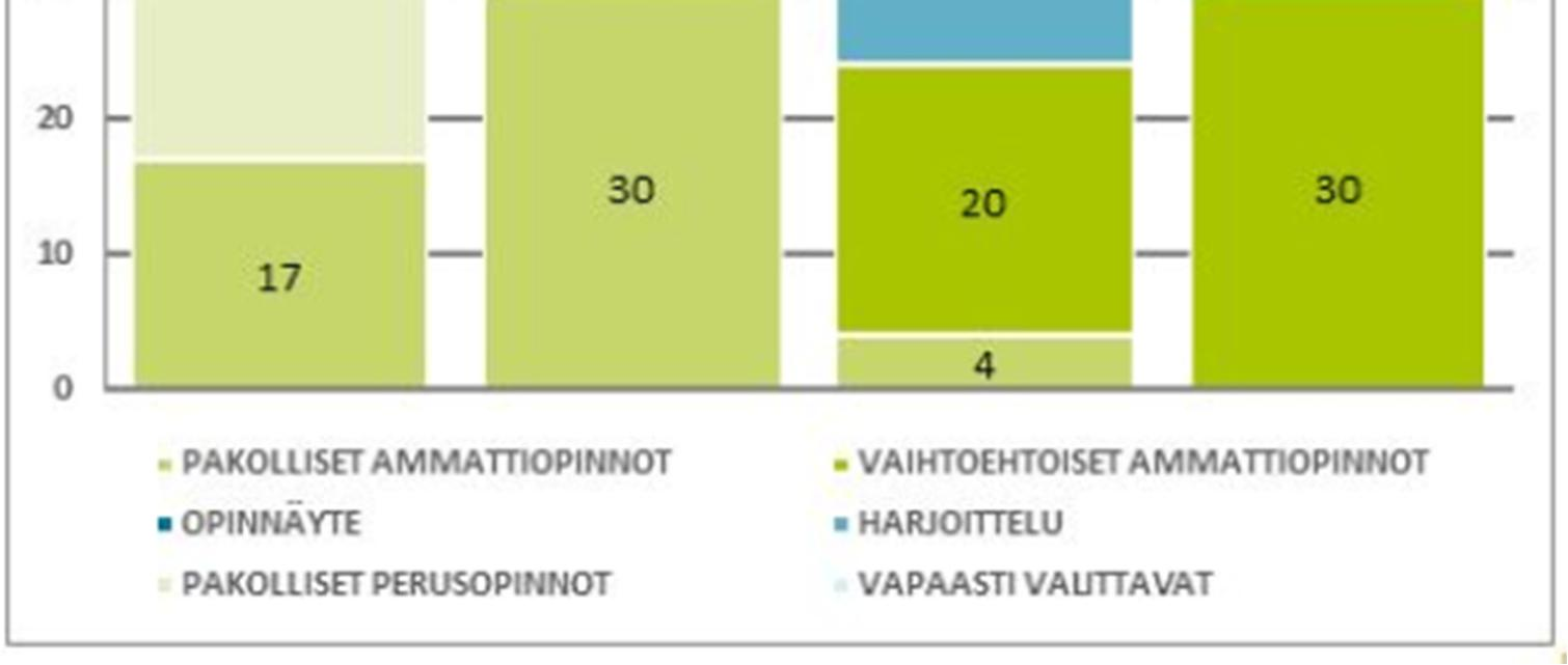 Tavoitteena opinnoissa on vahva kansainvälistyminen, koska suomen metsä- ja metsäteollisuuden laitteita toimittavat yritykset ovat globaaleja, kansainvälisesti vahvoja toimijoita.