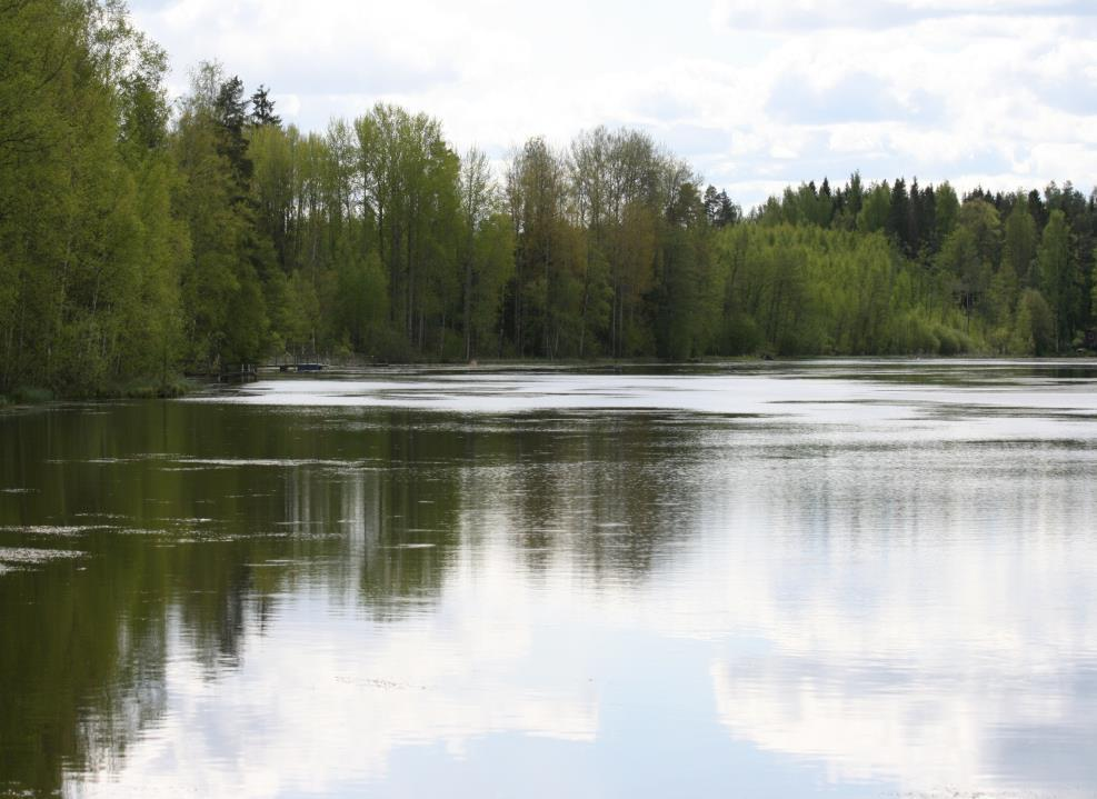 Vesitase sadanta-haihdunta= valunta Järvien veden laatuun vaikuttavia riippuvuuksia Tuuliolot Valaistusolot Virtausolot virtaama, virtausnopeus Kerrostuneisuus Lämötilaolot Alueen laajuus