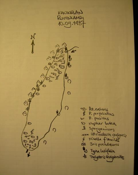 Kasvikartoitus 1987 Ruutinlammella Kelluslehtiset Uistinvita Ulpukka Palpakko Uposkasvit