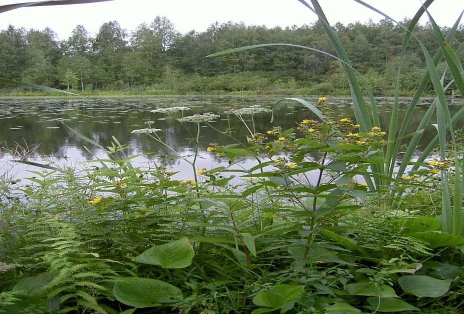 Lisätä tietoa ja kiinnostusta järvikunnostuksesta ja edistää luonnon- ja ympäristönhoitoa