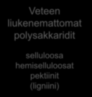 hemiselluloosat pektiinit (ligniini) Vesiliukoiset