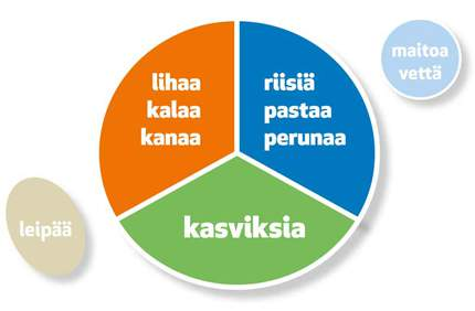 AKTIIVILIIKKUJAN LAUTASMALLI Aktiiviliikkujan lautasmalli Ruokamäärät suurempia 1/3 HH-lisäkettä 1/3 proteiinipitoista lisäkettä 1/3 salaattia/kasvislisäkettä + päällä öljykastike (+