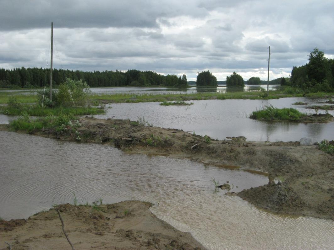 Haapaniemen kosteikot 6,4 ha - Käsittelee