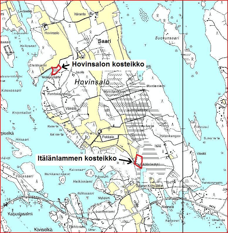Itälänlammen kosteikko - Hovinsalon saaressa