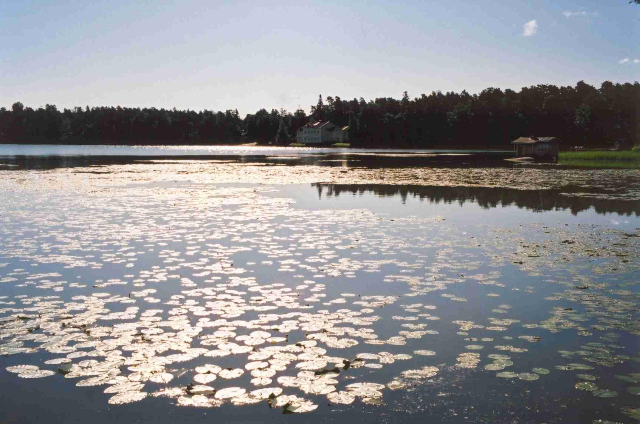 Littoistenjärven vesikasvillisuus pysyi jokseenkin