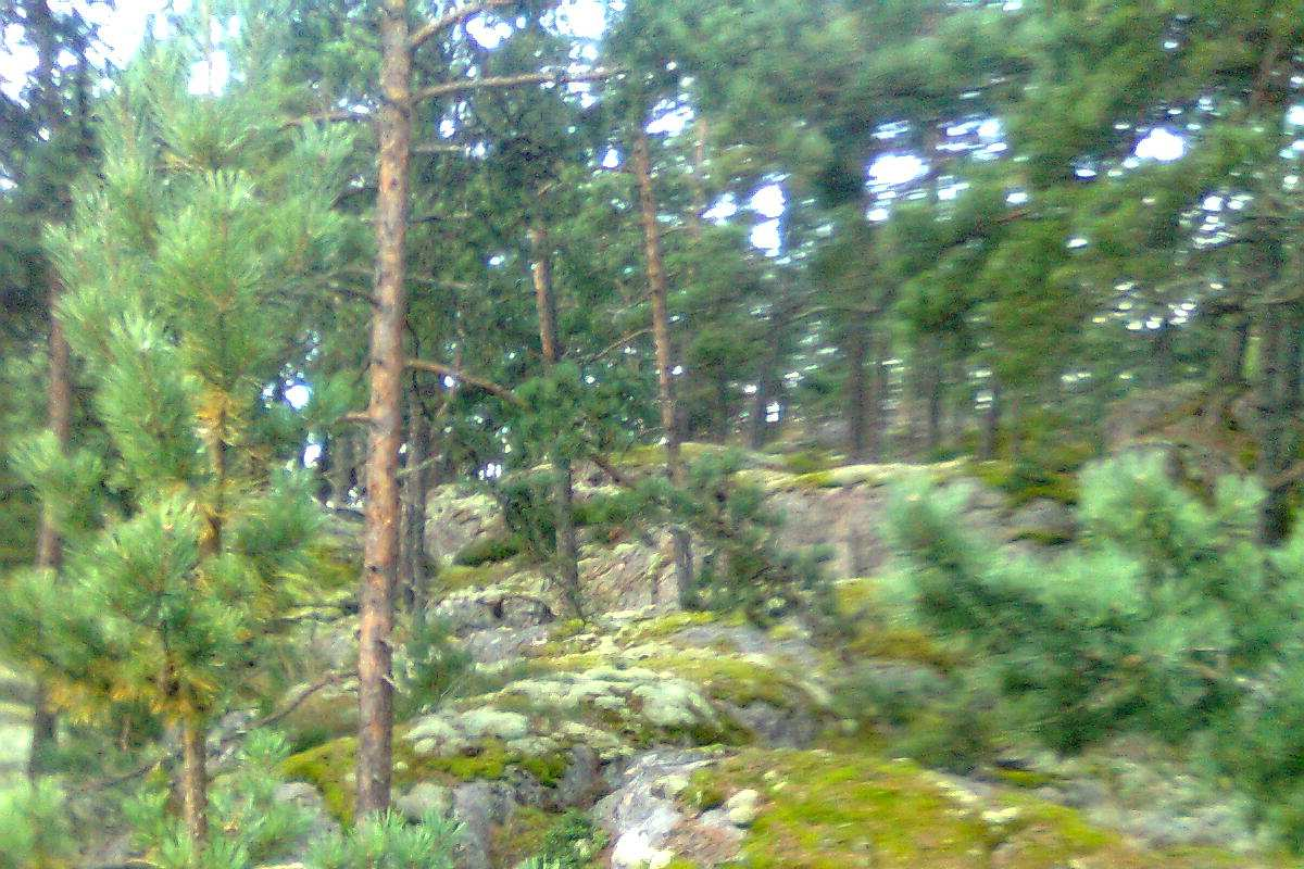 1 4. SUOJELUALUEET, SUOJELUOHJELMAT JA NATURA 2000-VERKOSTO Suunnittelualueella ei ole perustettuja suojelualueita, valtakunnallisiin suojeluohjelmiin tai alueellisissa luontoinventoinneissa