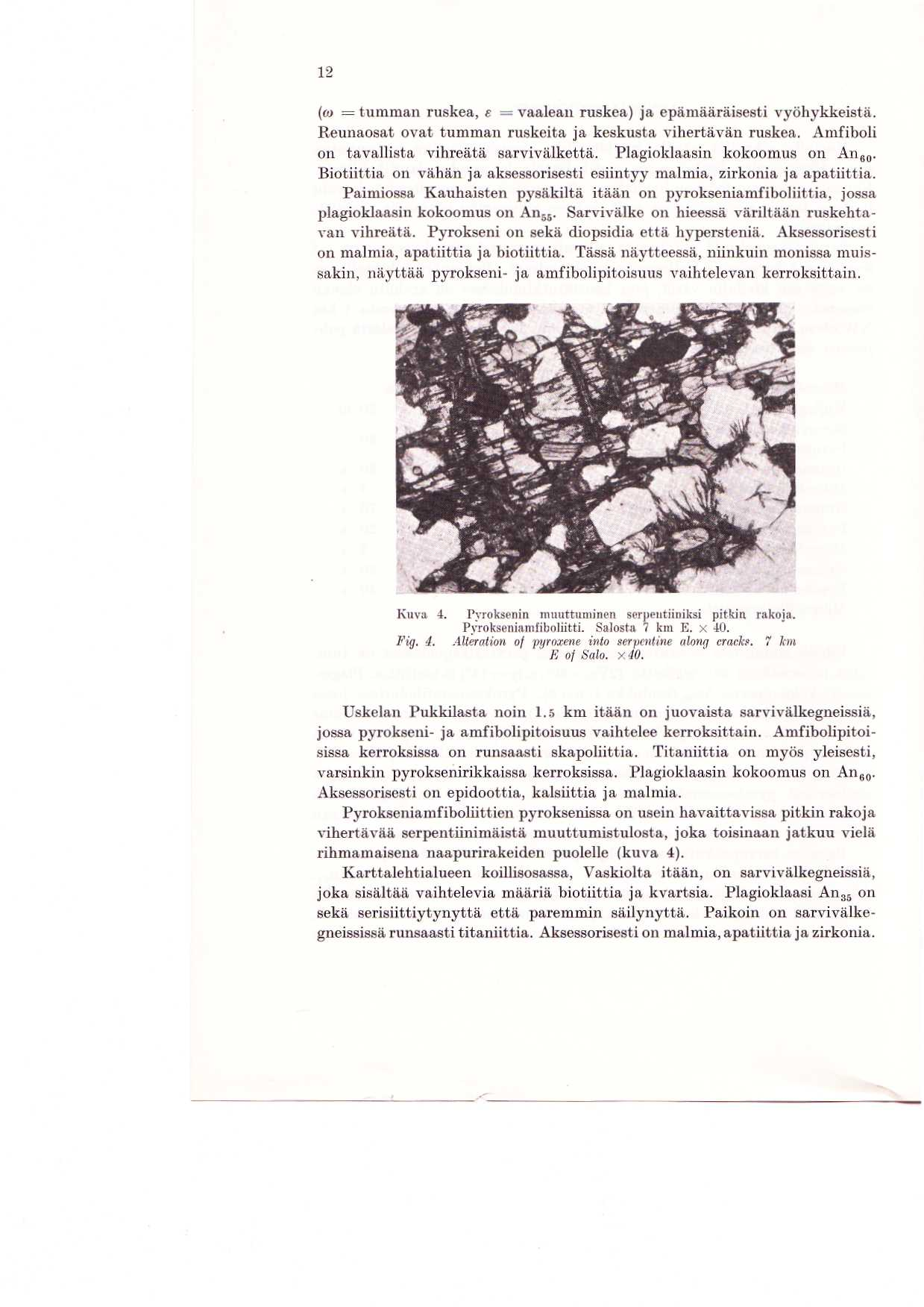 12 (co = tumman ruskea, e = vaalean ruskea) ja epamdaraisesti vyohykkeista. Reunaosat ovat tumman ruskeita ja keskusta vihertavan ruskea. Amfiboli on tavallista vihreata sarvivalketta.