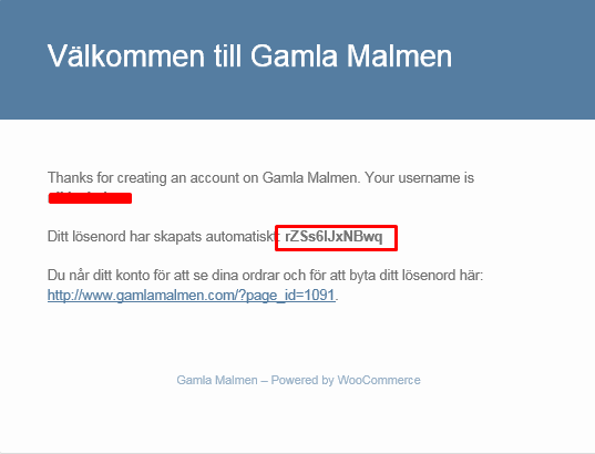 Du borde motta ett mail som liknar detta. Med ett användarnamn samt ett lösenord. Lösenordet kan bytas senare. Sinun pitäisi saada alla olevan näköinen posti käyttäjänimellä sekä salasanalla.