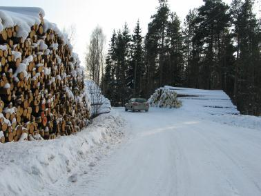 välttämätöntä Vesakonraivauksesta huolehdittava Kohtaamis- ja