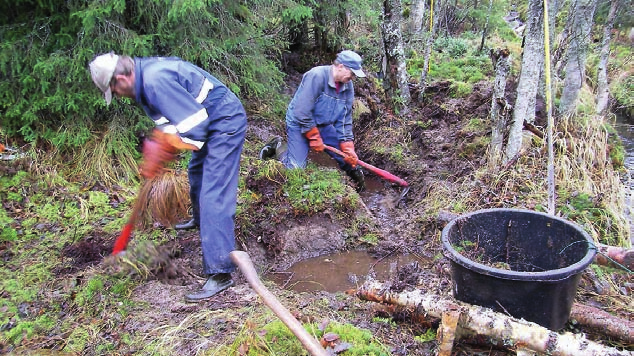 Pato tehdään hieman muuta maastoa korkeammaksi mahdollisen painumisen tai tulvan aiheuttaman kulumisen vuoksi ja vesi ohjataan tulvavirtaamineen vanhaan uomaan.