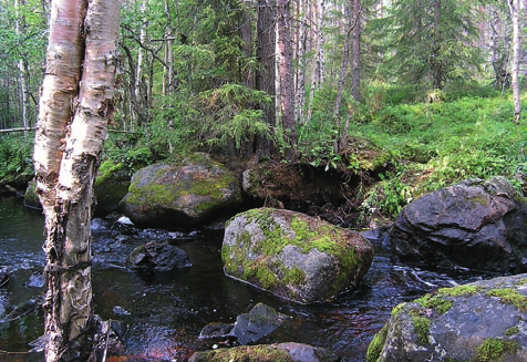 Puroissa jäät eivät juurikaan siirtele kiviä, joten isot kivet asetellaan tiiviisti levein sivu pohjaa vasten ja yleensä tumma ja sileämpi puoli ylöspäin.