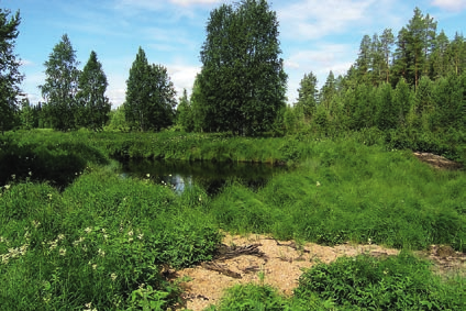 Kalustoon kuuluu myös imuejektori, imusuutin, letkut ruiskun ottovedelle ja ejektorin painevedelle sekä ejektorin imu- ja poistoletku. Kalustoa kuljetetaan mönkijällä tai kanootilla.