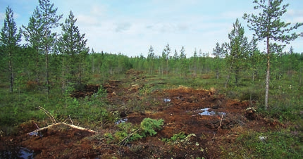 Matalaksi jäävää ojalinjaa pitkin sulamisvedet hulahtavat nopeasti pois suolta.