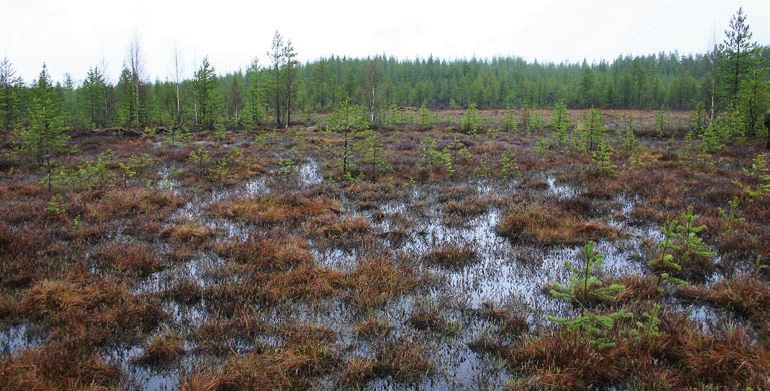 3.6.2 Ojakatkokset, lietetaskut, putki- ja säätöpadot Metsäojituksilta tulevien kokoomaojien alaosiin rakennetaan valumavesien virtausta hidastavia ja pintavalutukseen ohjaavia ojakatkoksia.