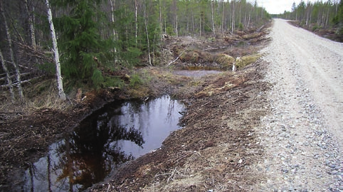 Hoikanojan ylittävän metsäautotien