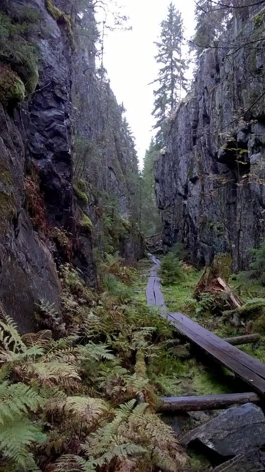 Retkeilyjaoston kuulumisia Pieksän Ladun retkeilyjaoston tavoitteena on panostaa kesäretken lisäksi lähiretkeilyyn.