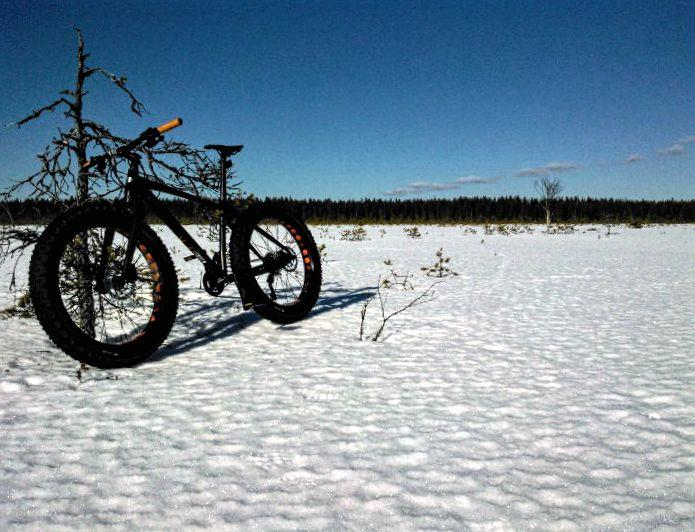 JÄSENMAKSUT Jäsenmaksut vuonna 2017: henkilöjäsen 25 perhejäsenmaksu 35 nuorisojäsen 10